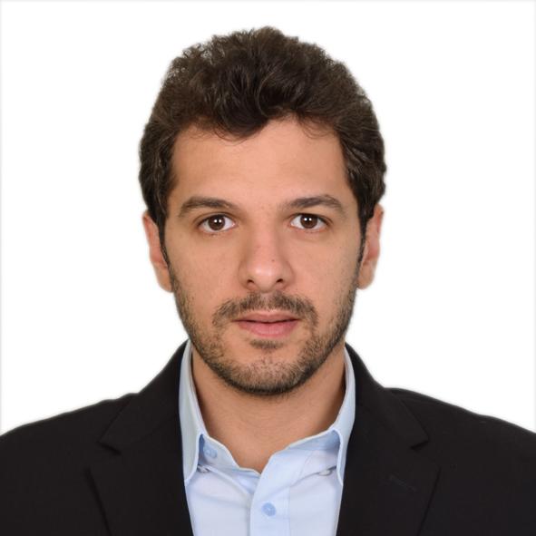 Mohamed Mahmoud Dweedar