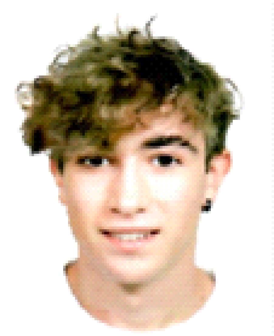 Albert Pujol Calzada