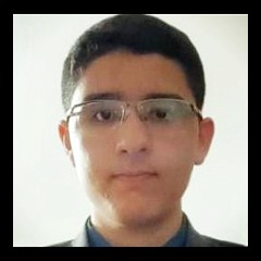 Renan Cadamuro Carrara