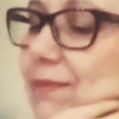 Anna Cristina  Pereira Ferreira Gomes Pisani