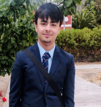 NICOLAS ANDRES BRICEÑO ESPINAL