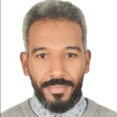 Ahmed Khalifa