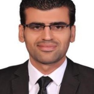 Mahmoud Gamal Ibrahiem Hassanen