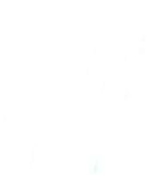 Jonathan Castillo Medina