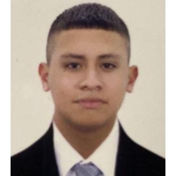 Brandon Meneses Males