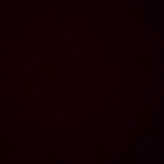 ELMER JOSUÉ AJU MENDOZA