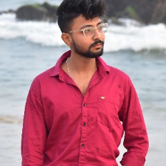 Naveen Kumar  Vishwakarma 