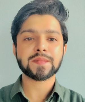 Amir Hamza