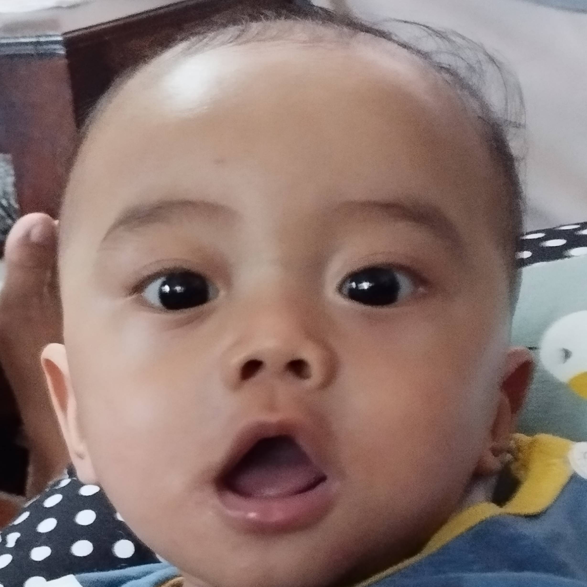 Arif  Ariyanto 