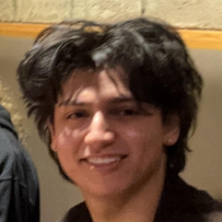 Talin Parisi