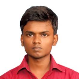 Gnanaselvam M