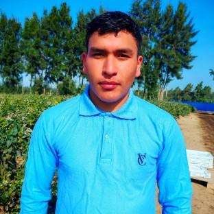 Joel Alexander Araujo Rodriguez