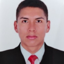 JUNIOR NILSON  IDROGO VARGAS 