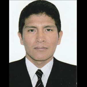 Wilfredo Lopez Huallpa