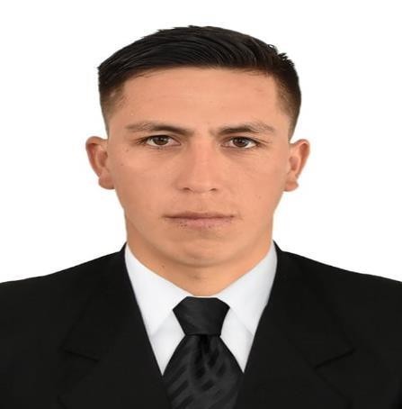 WILMER MANUEL RAMIREZ HERNANDEZ