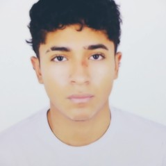 Williams Josue Palomino Garcia