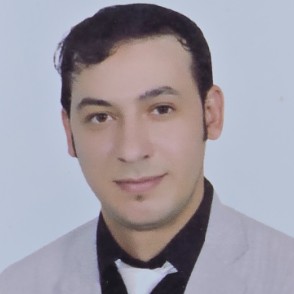 AHMED SHEBEL ALTANTAWY