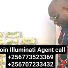 How to join illuminate agent Uganda Call+256777059420/+256750767251
