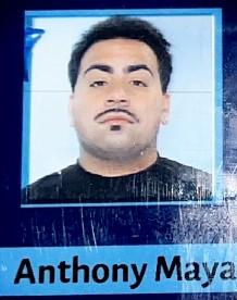 Anthony Maya